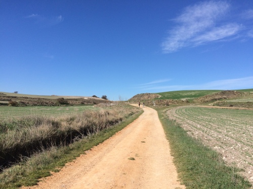 Camino de Burgos a Hontanas
